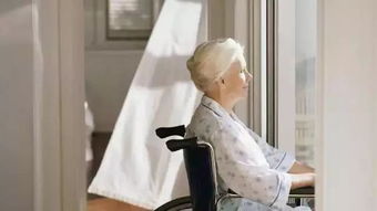 銀發浪潮下的新銳力量 揭秘網紅級養老服務產品的煉成之路